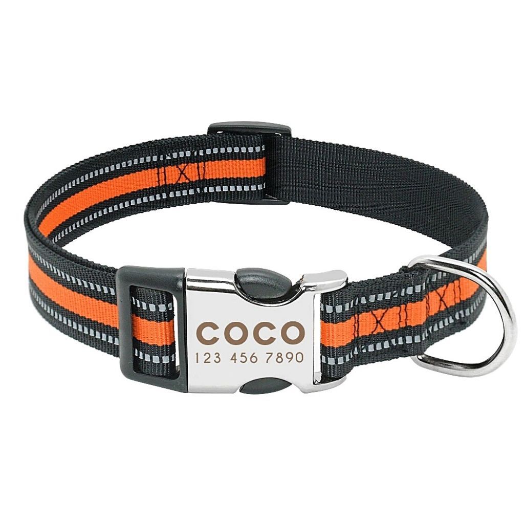 Personalized Safe-At-Night Dog Collar