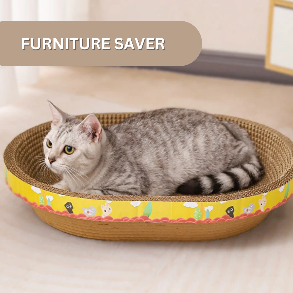 Whisker Wonderland™ Cat Bed & Scratching Board
