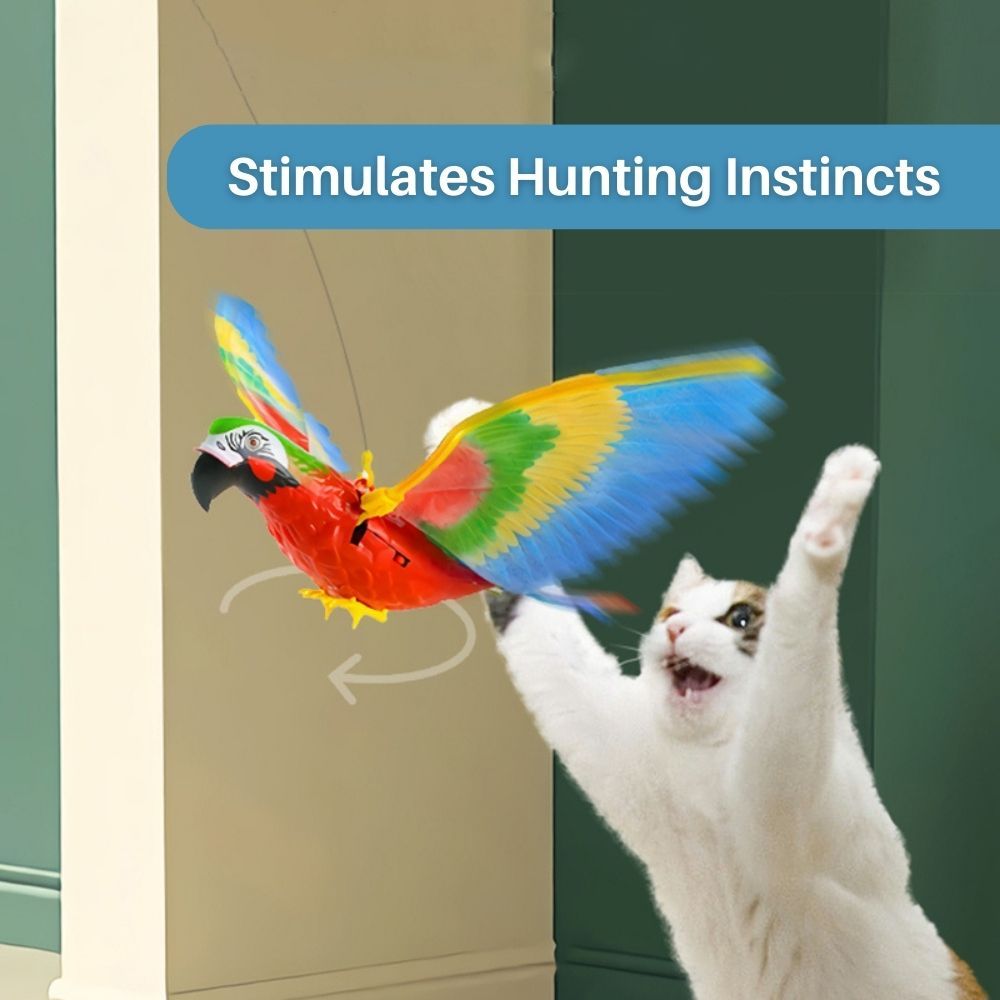 SkyChase™ Interactive Cat Toy