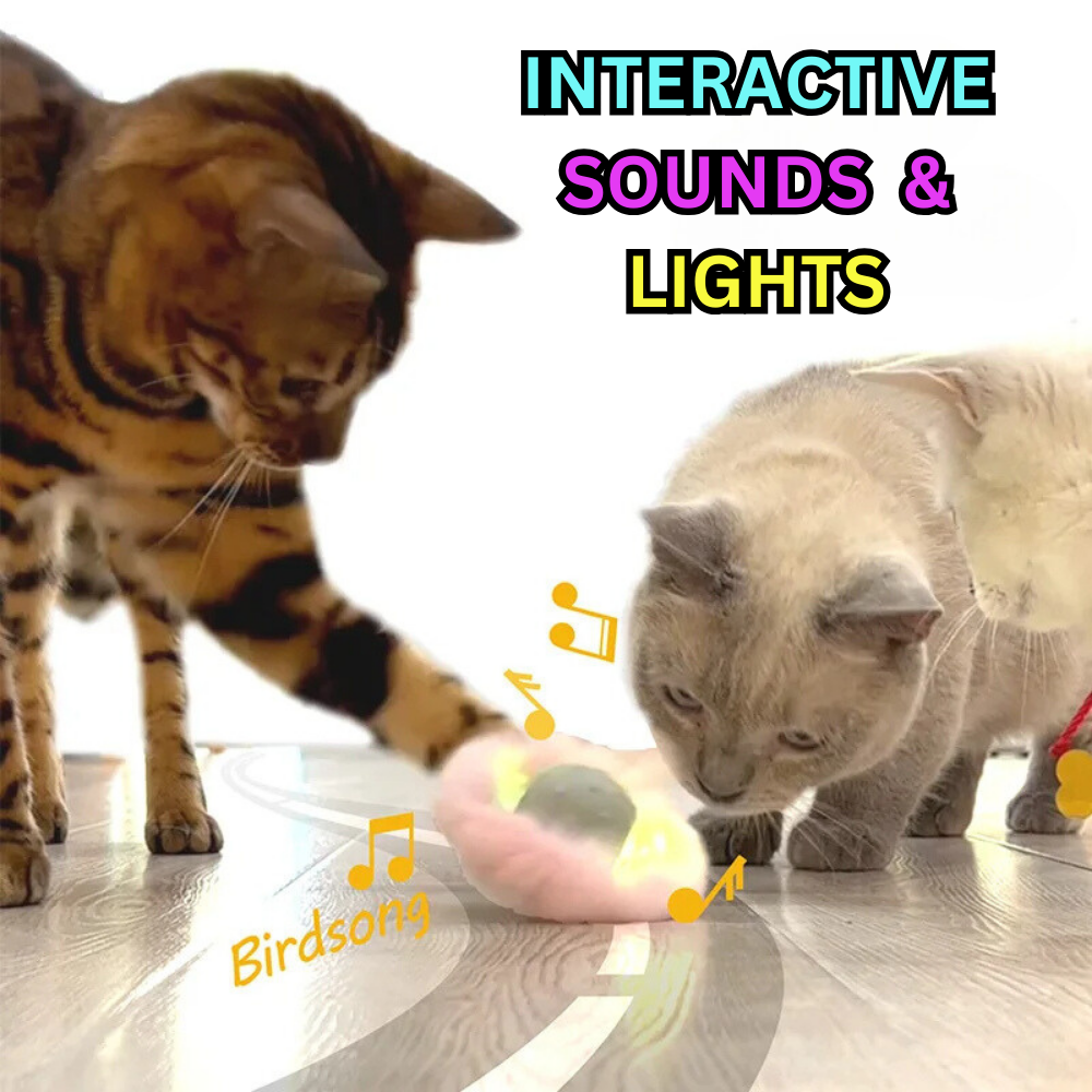 FelineFun Orb™ Interactive Cat Toy