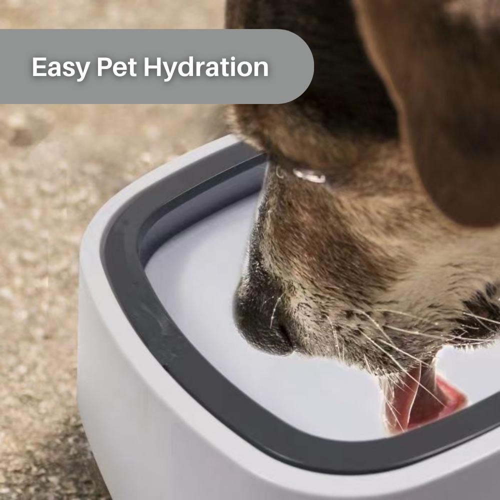 AquaGuard™ Spill Proof Water Bowl