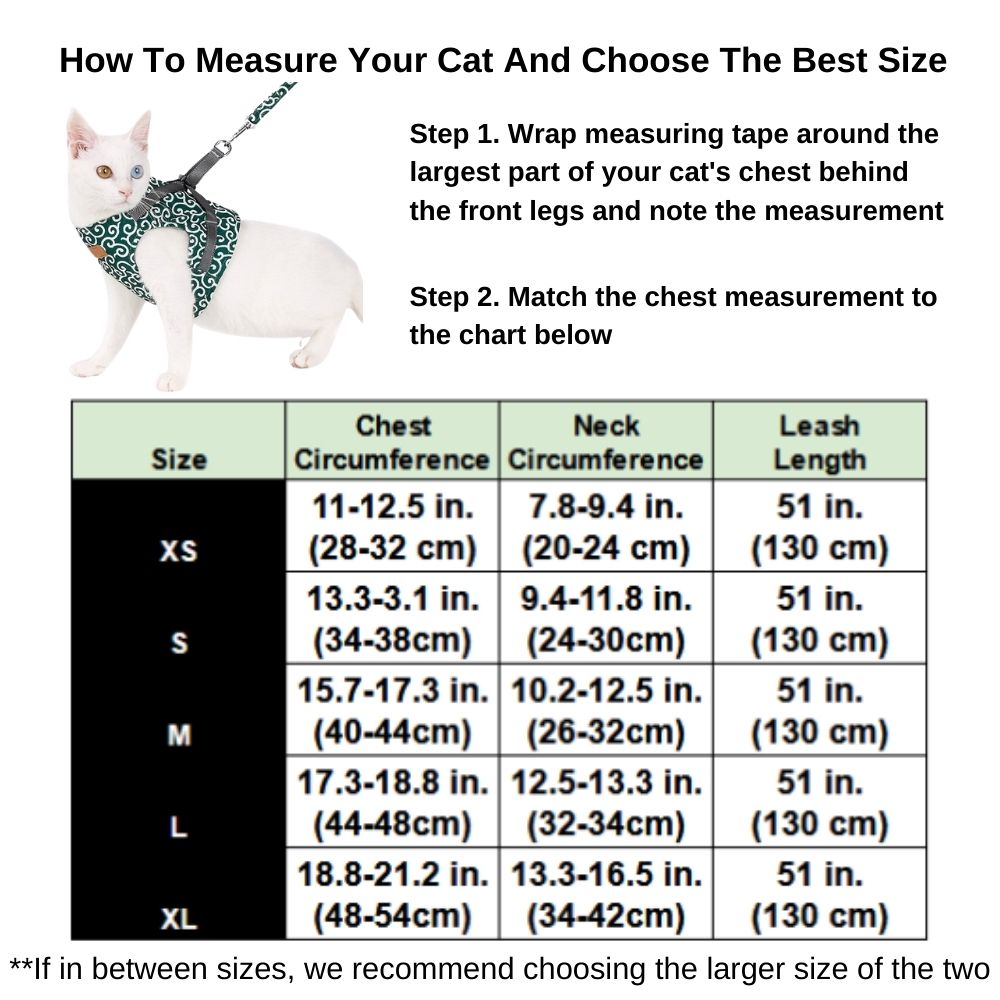 Purrfect Paws™ Cat Harness And Leash Set