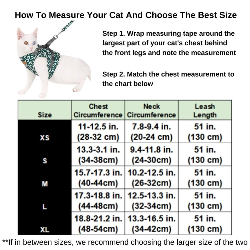 Purrfect Paws™ Cat Harness And Leash Set