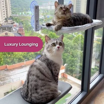 CatPerch™ Foldable Cat Hammock