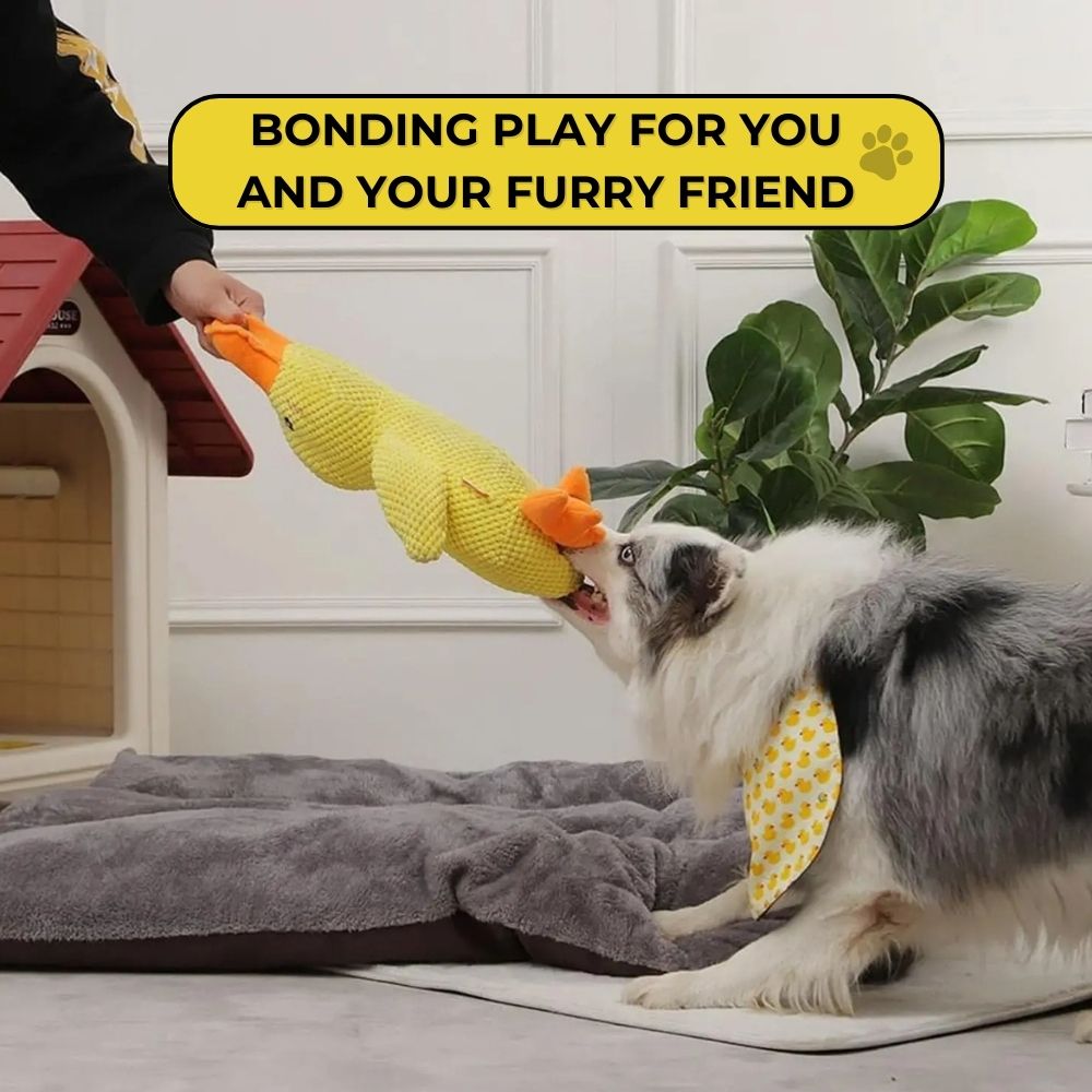 QuackPal™ Calming Duck