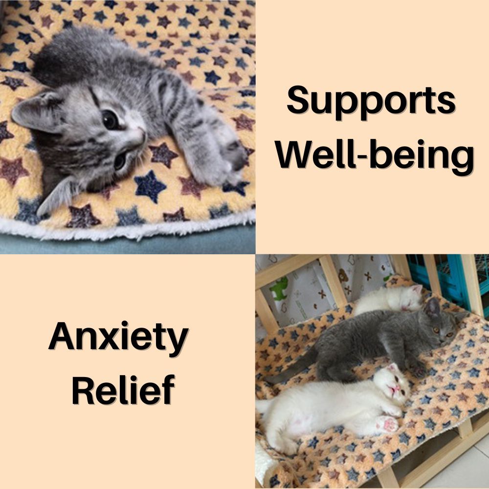 Kitty Serenity™ Calming Blanket