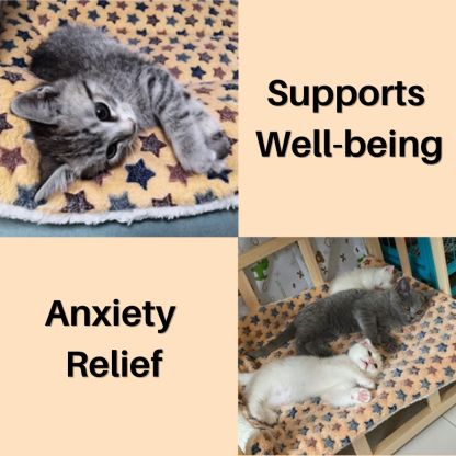Kitty Serenity™ Calming Blanket
