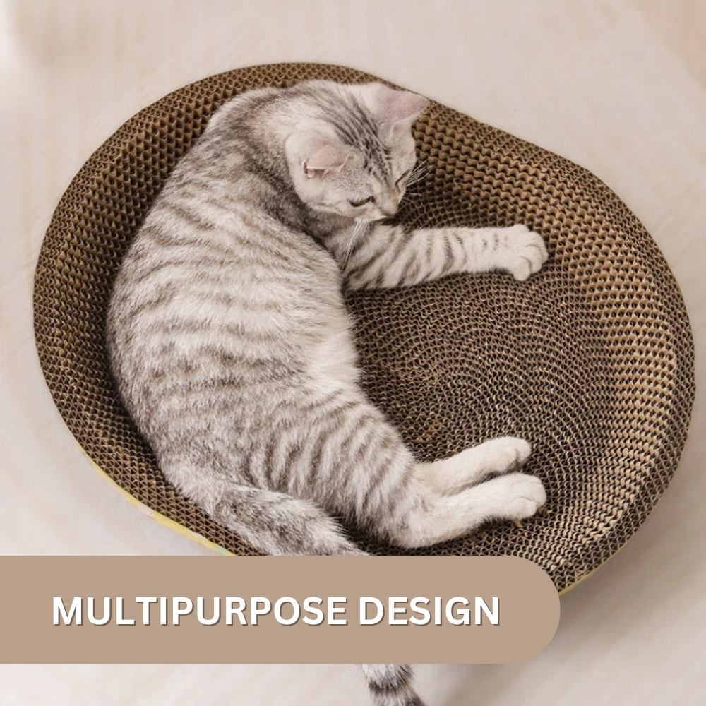 Whisker Wonderland™ Cat Bed & Scratching Board