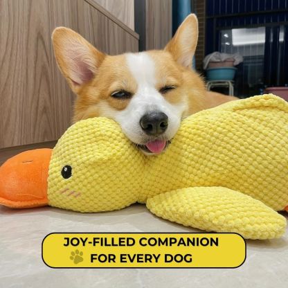 QuackPal™ Calming Duck
