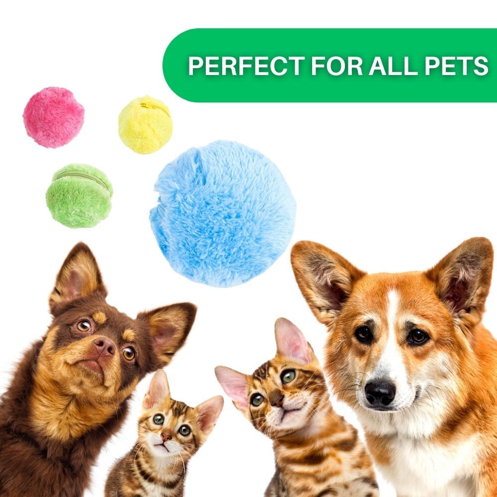PupRoller™ Interactive Dog Toy