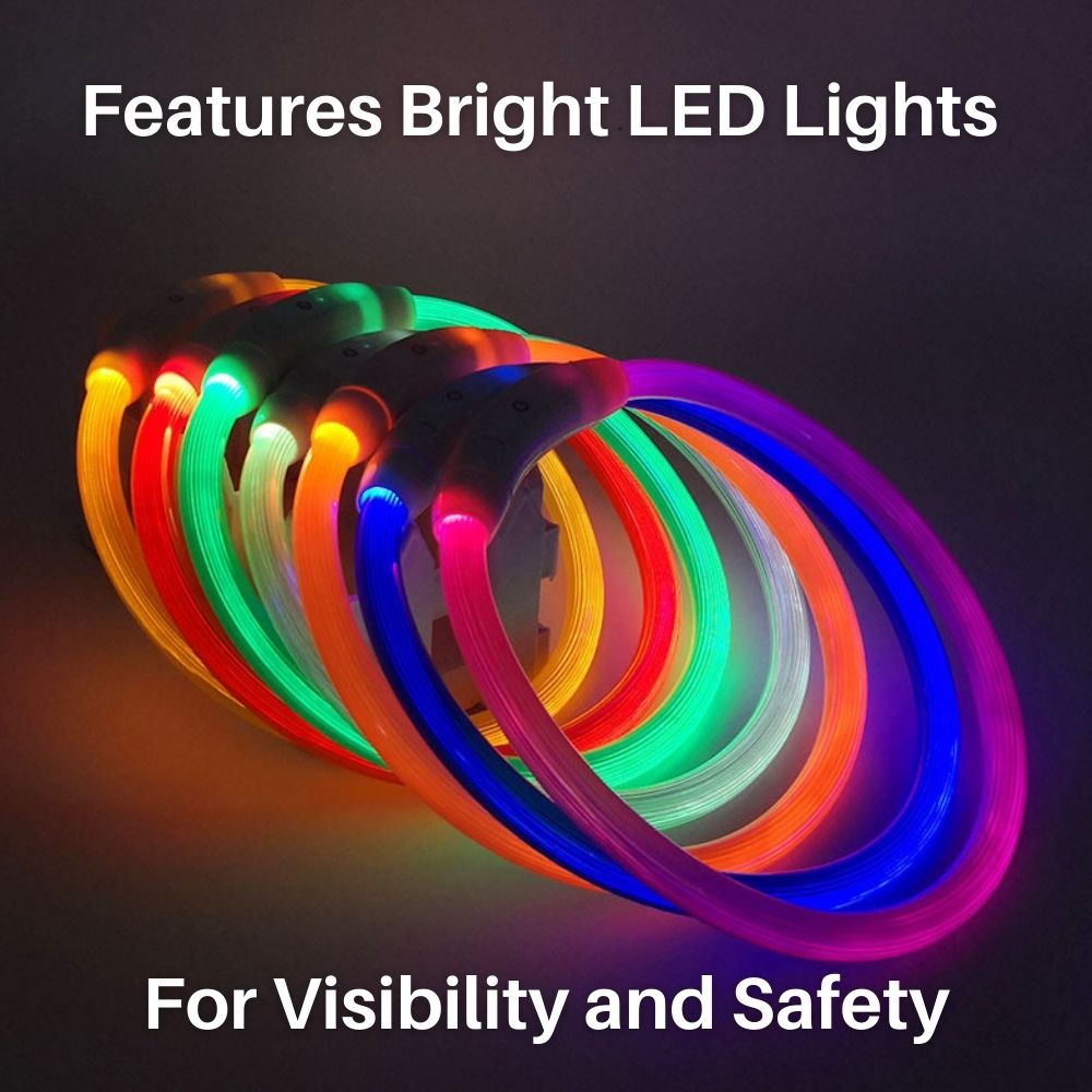 Glow Guardian™ Rechargeable LED Dog Collar