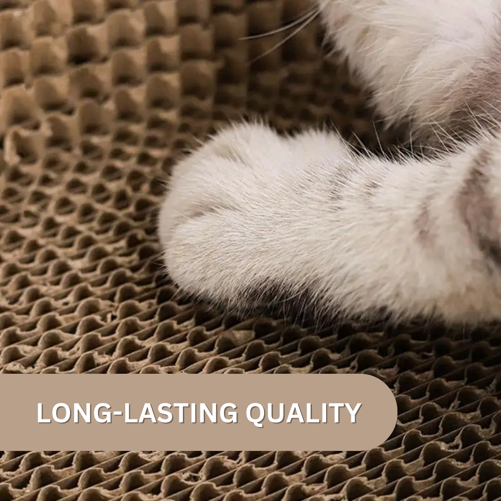 Whisker Wonderland™ Cat Bed & Scratching Board