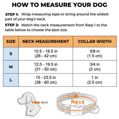 Personalized Safe-At-Night Dog Collar