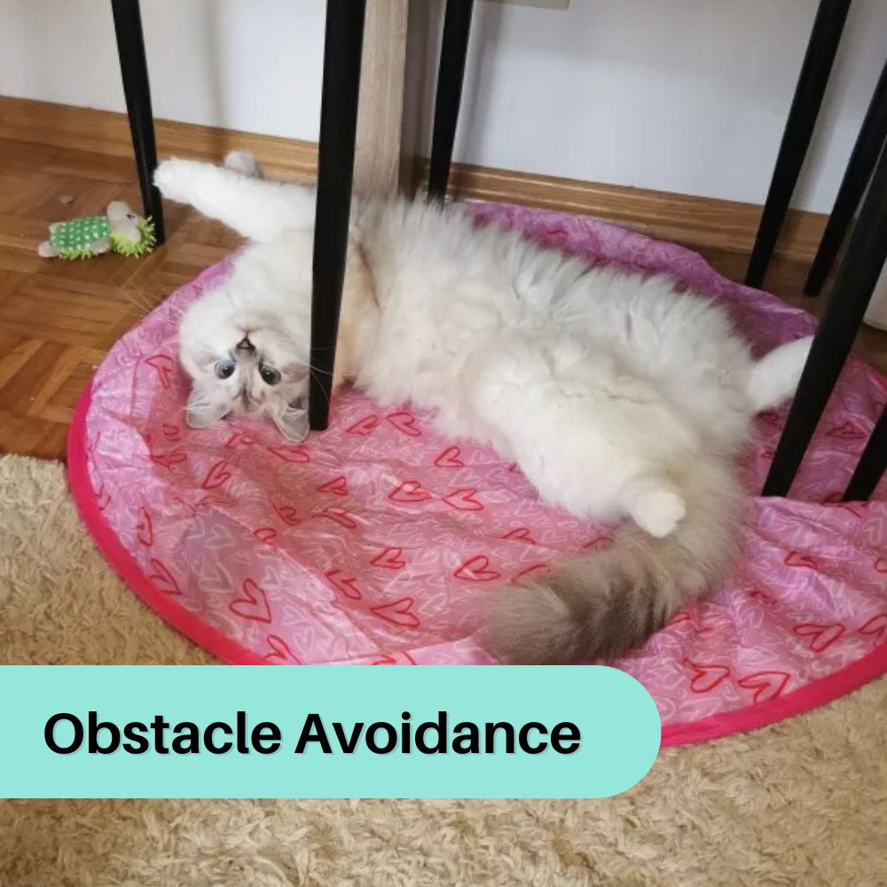 WhiskerWiz™ 2-in-1 Interactive Cat Toy