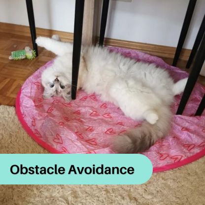 WhiskerWiz™ 2-in-1 Interactive Cat Toy