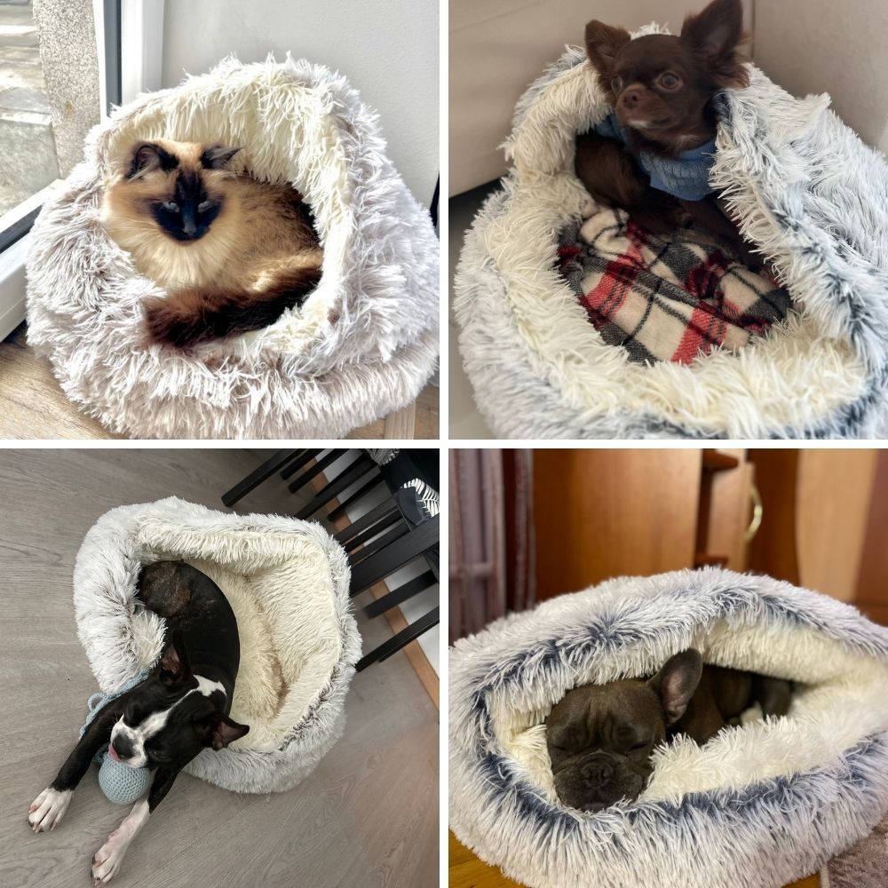 CozyCloud™ Calming Pet Bed