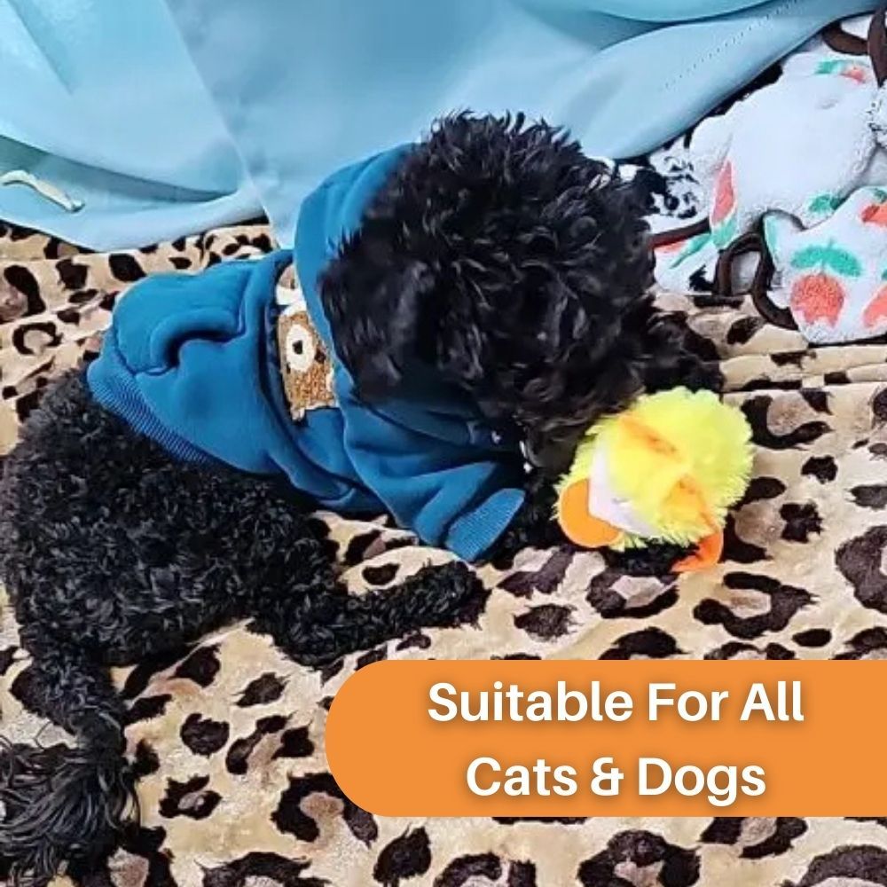 Quack Buddy™ Interactive Duck Toy