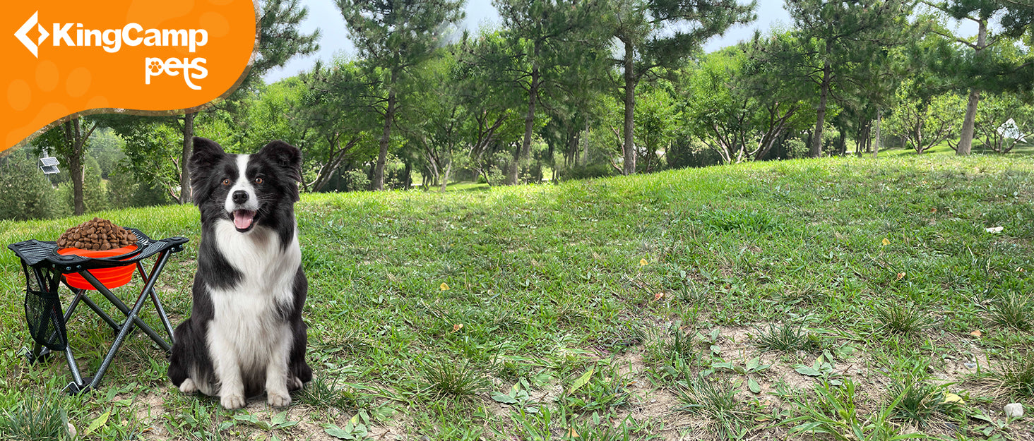 KingCamp 4 Height Adjustable Raised Dog Bowl