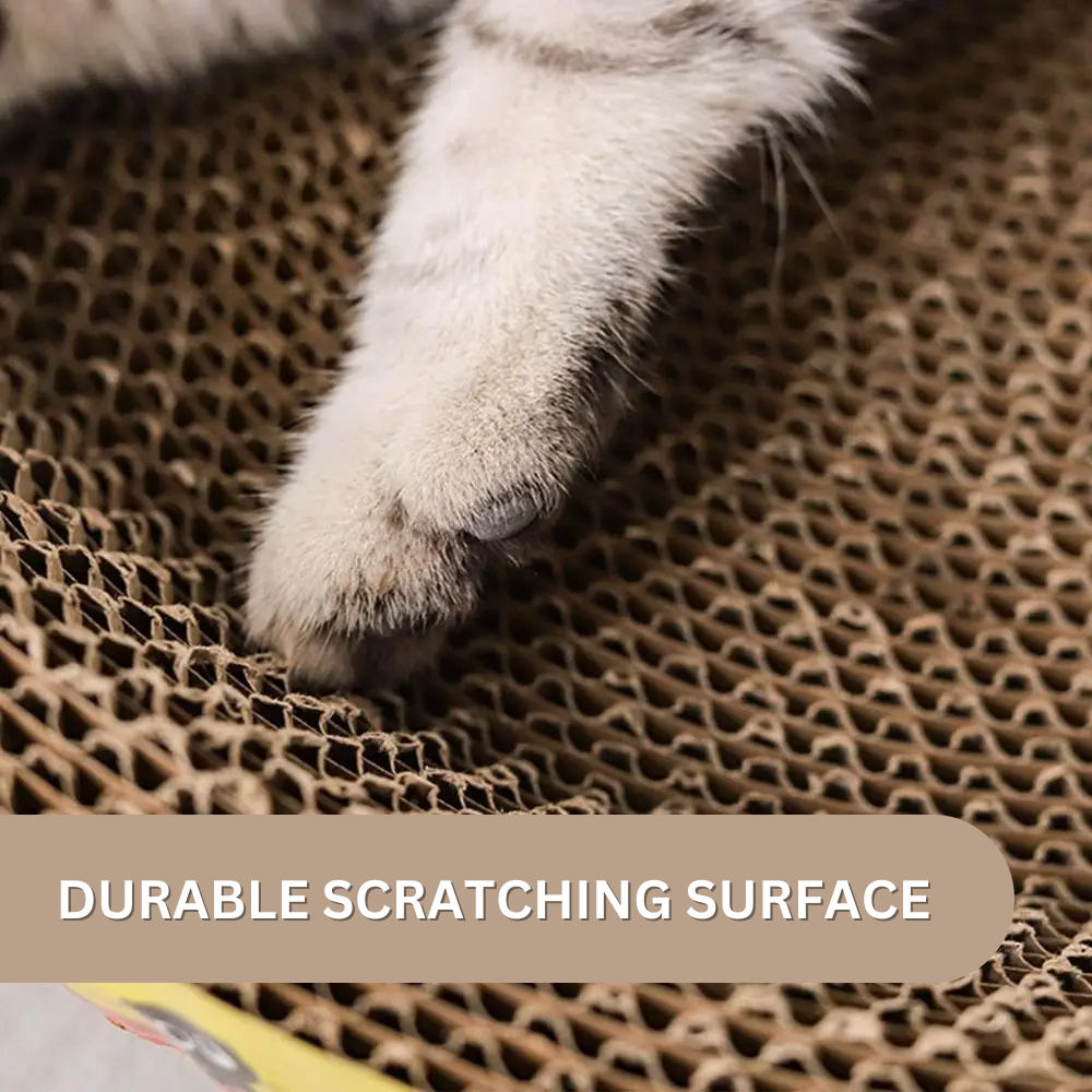 Whisker Wonderland™ Cat Bed & Scratching Board