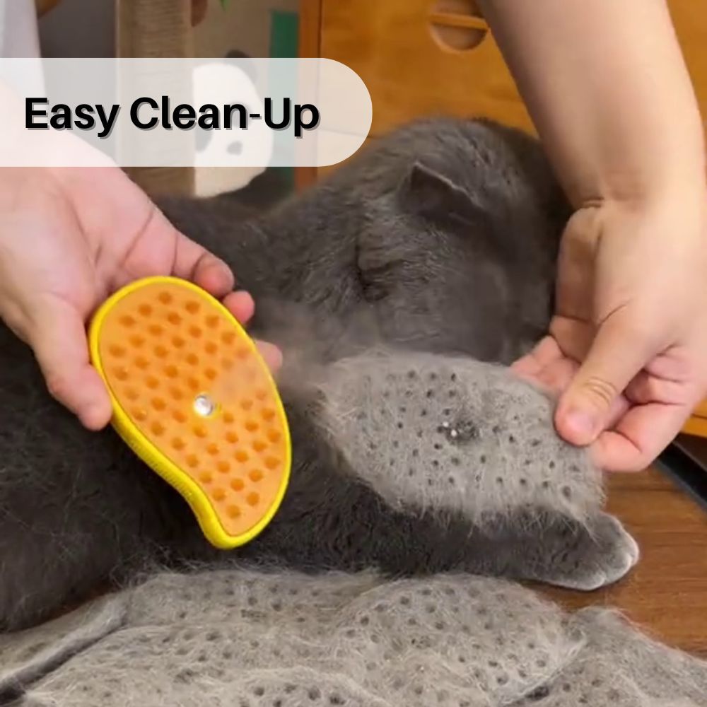 PurrSpa™ Nano Mist Cat Brush Offer