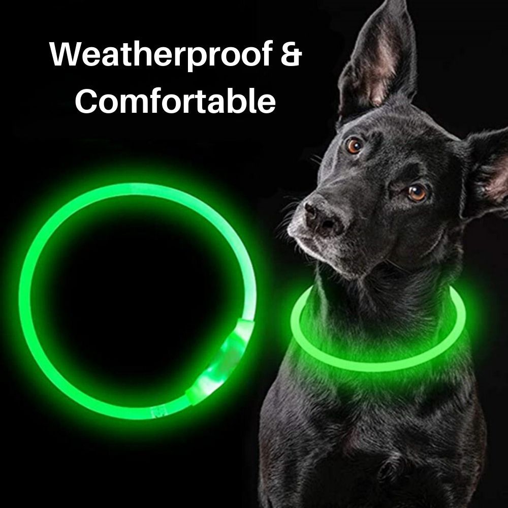Glow Guardian™ Rechargeable LED Dog Collar