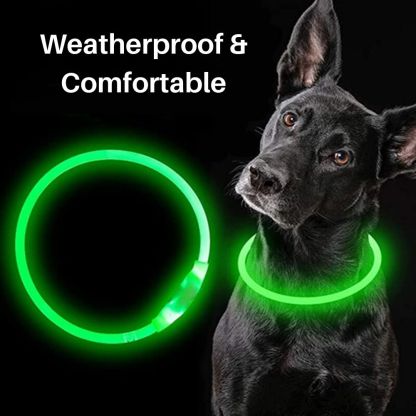 Glow Guardian™ Rechargeable LED Dog Collar