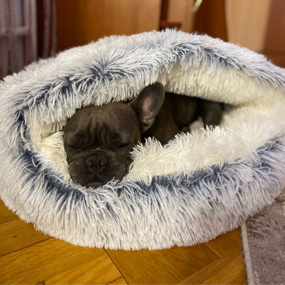 CozyCloud™ Calming Pet Bed