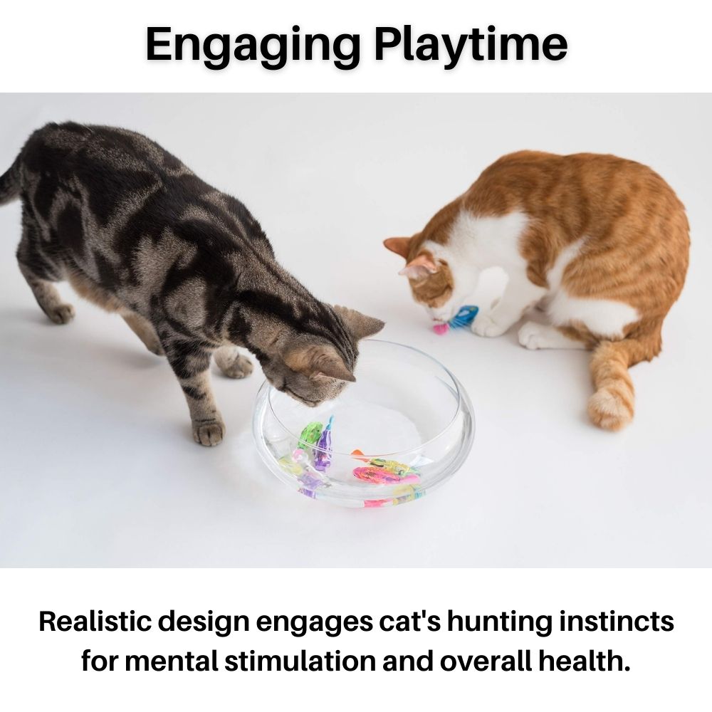 AquaDance™ Interactive Cat Toy Set