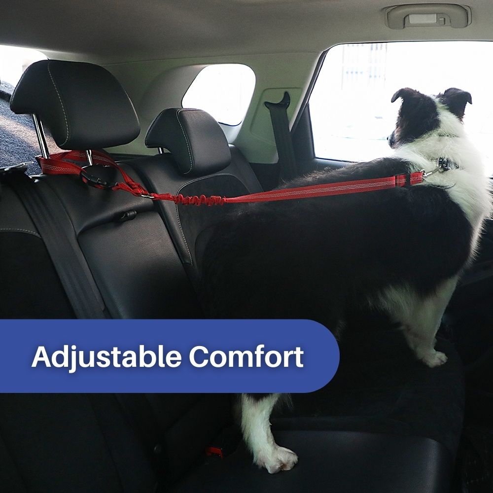 TravelBuddy™ 3-in-1 Dog Seat Belt and Leash