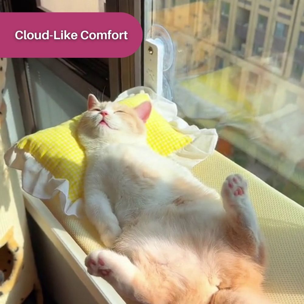 CatPerch™ Foldable Cat Hammock