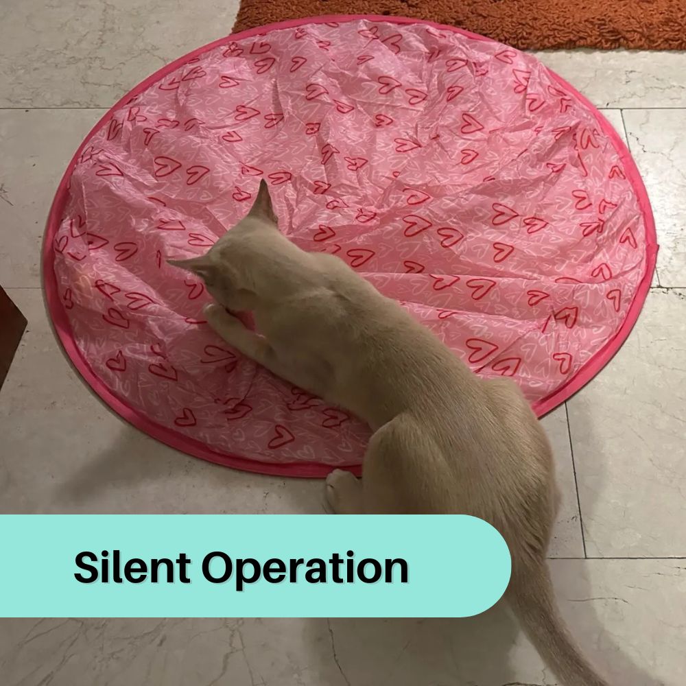 WhiskerWiz™ 2-in-1 Interactive Cat Toy