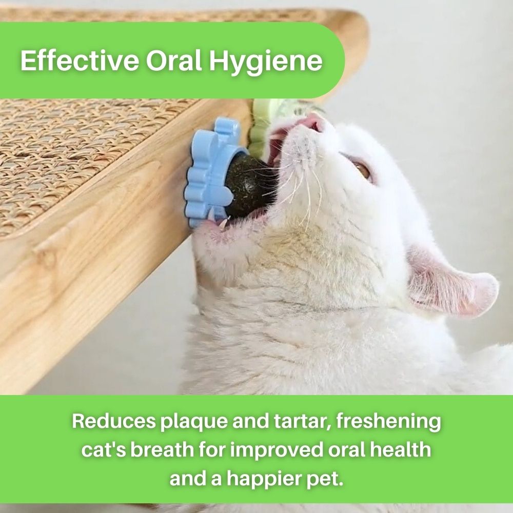 Kitty Delight™ Rotating Catnip Ball