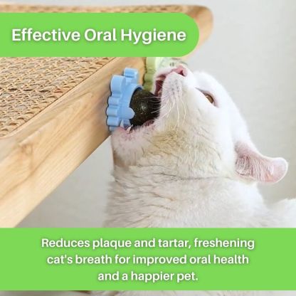 Kitty Delight™ Rotating Catnip Ball