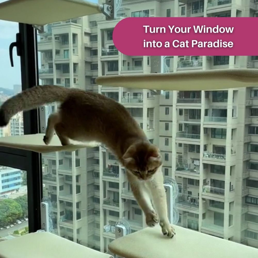 CatPerch™ Foldable Cat Hammock