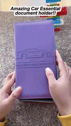 Car Organizer