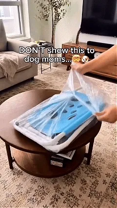 Pet grooming hammock table for cats kittens and small dogs GIF