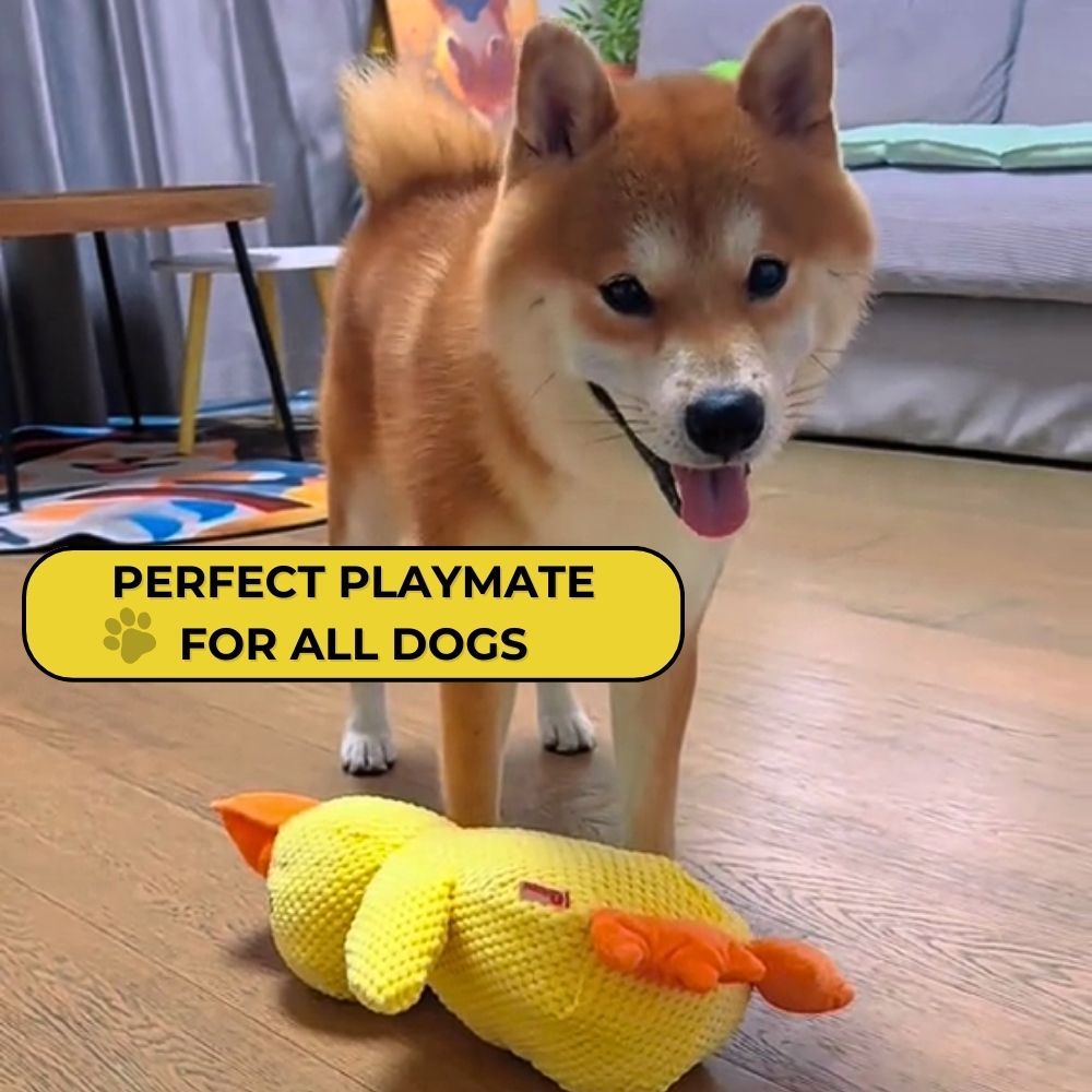 QuackPal™ Calming Duck