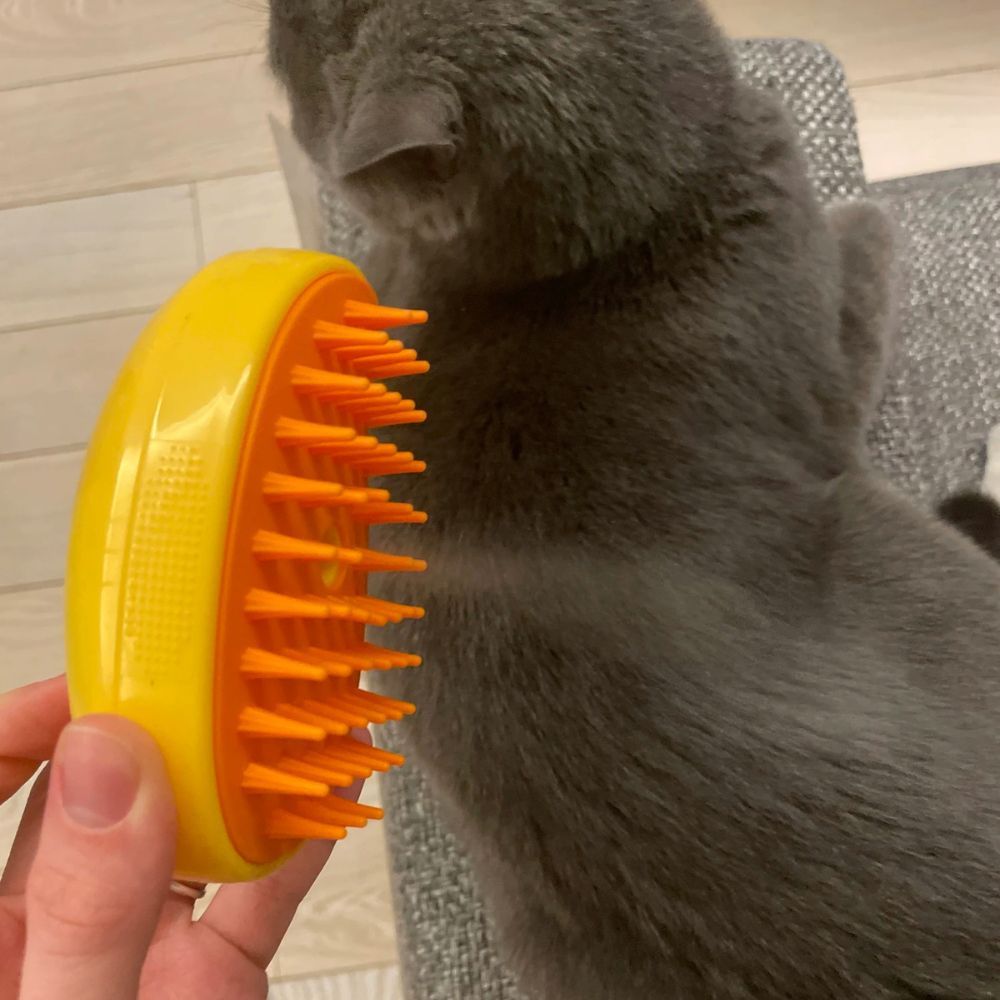 PurrSpa™ Nano Mist Cat Brush Offer