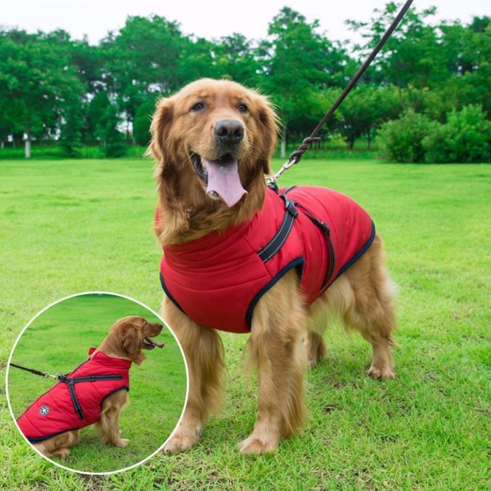 CanineGuard™ 3-in-1 Dog Jacket