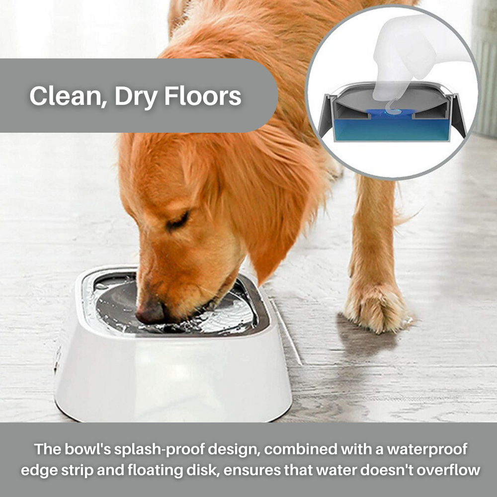 AquaGuard™ Spill Proof Water Bowl