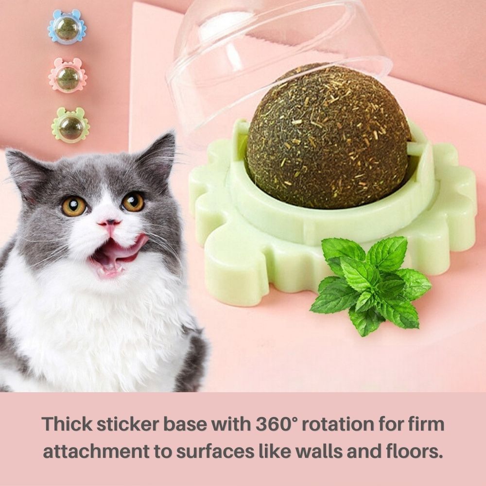 Kitty Delight™ Rotating Catnip Ball