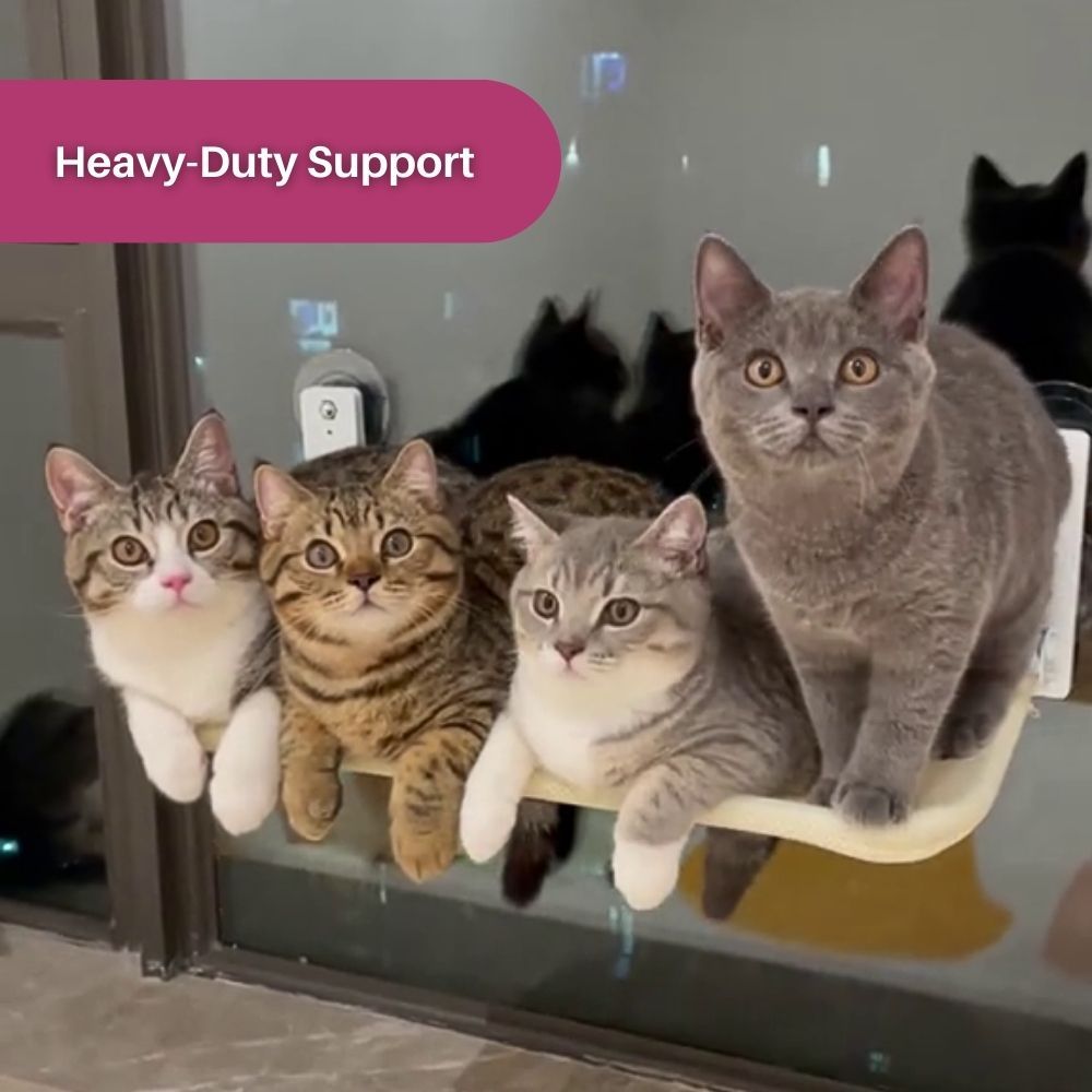 CatPerch™ Foldable Cat Hammock