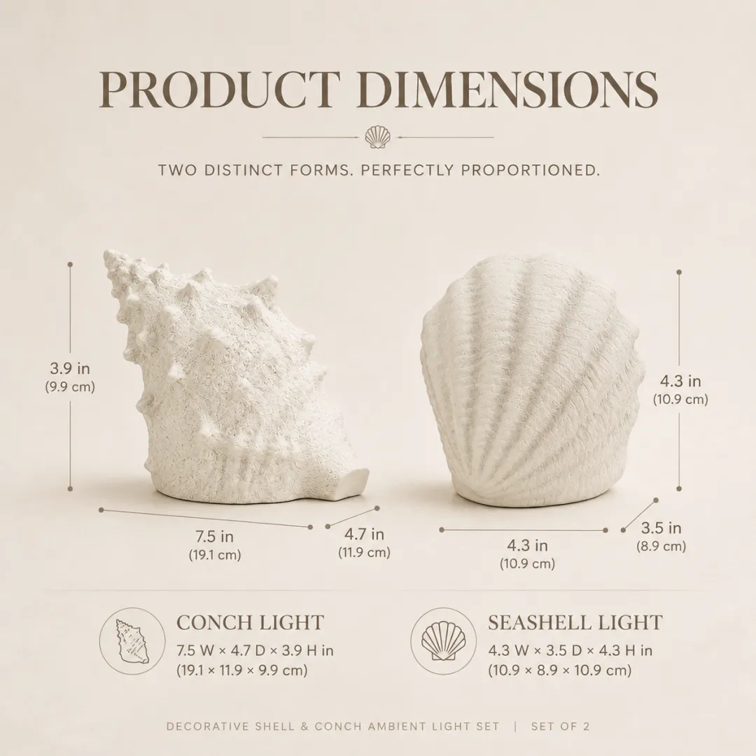 Dimensions of the Conch Light and Scallop Shell Light