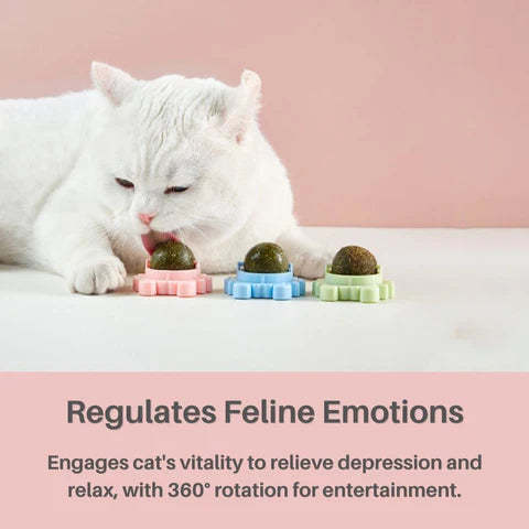 Kitty Delight™ Rotating Catnip Ball