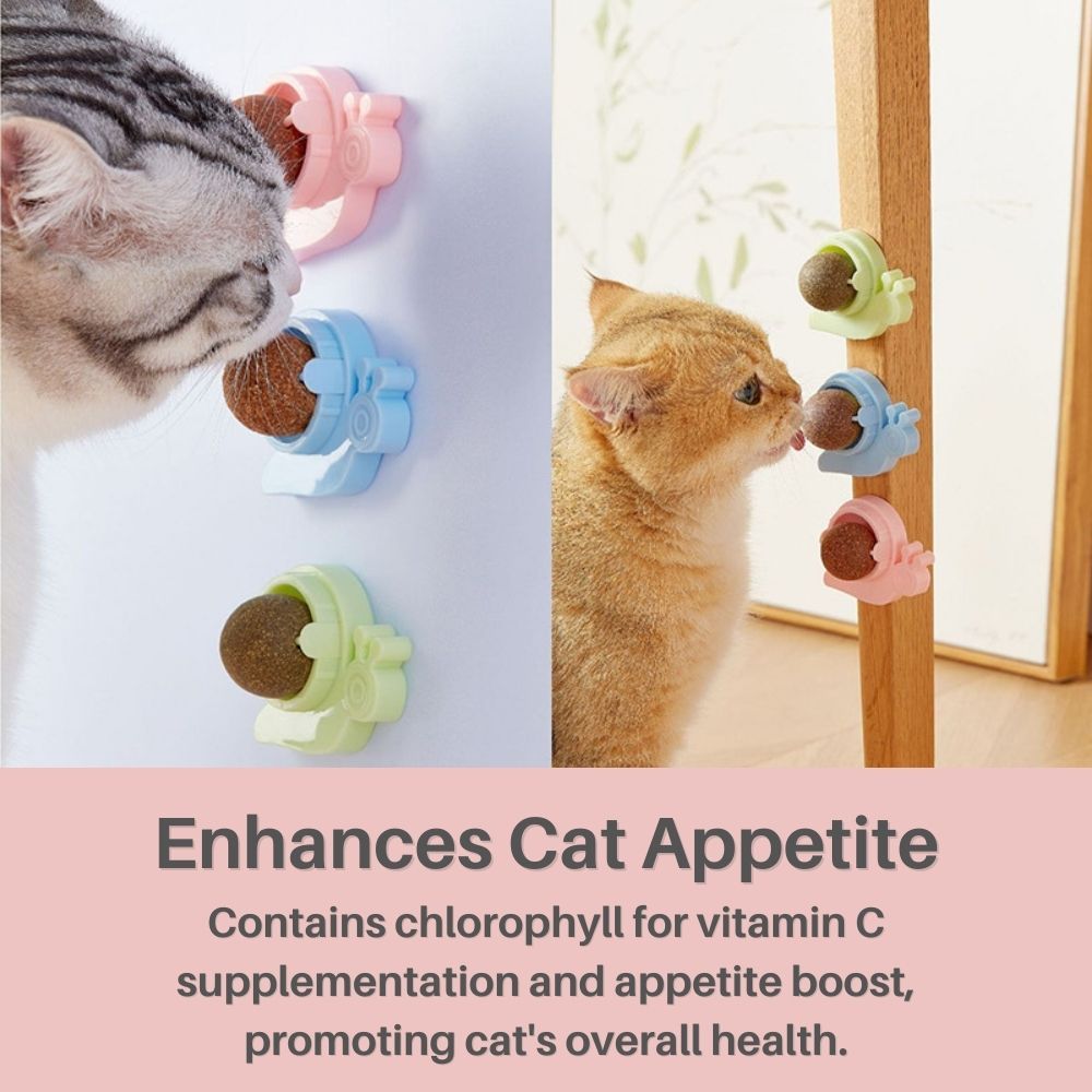 Kitty Delight™ Rotating Catnip Ball