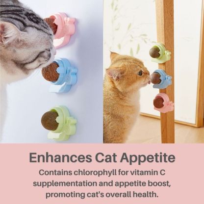 Kitty Delight™ Rotating Catnip Ball