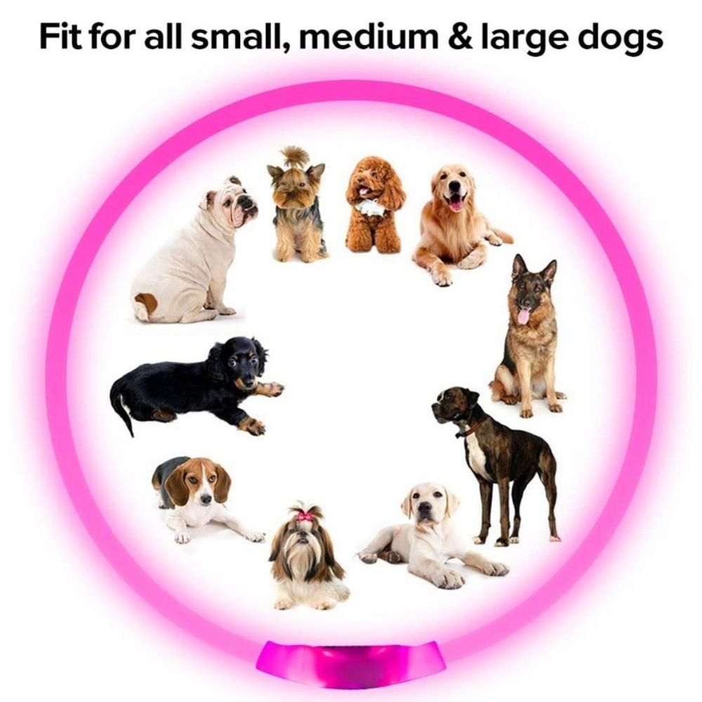 Glow Guardian™ Rechargeable LED Dog Collar