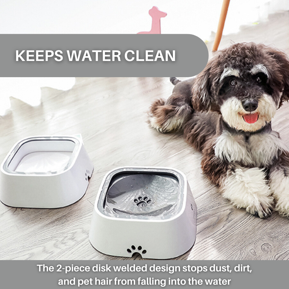 AquaGuard™ Spill Proof Water Bowl