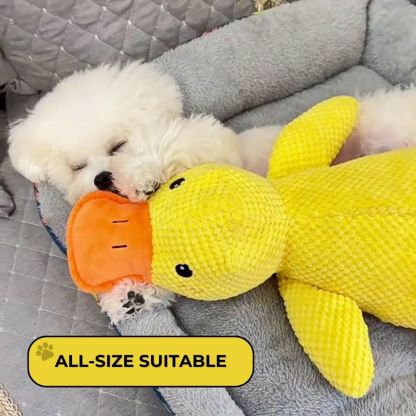 QuackPal™ Calming Duck