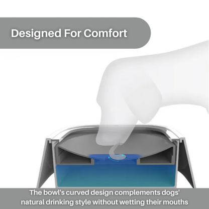 AquaGuard™ Spill Proof Water Bowl
